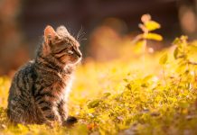 18 Tiny Habits That Magically Make You Happier