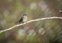 7 tiny habits that make people dislike you almost instantly