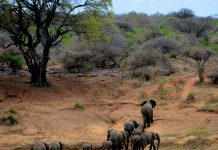 All big things come from small beginnings