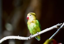 We are not given a good life or a bad life, we are given a life