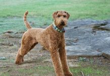 Keep on standing firm