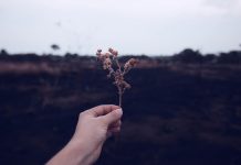 That Habit will change your life forever