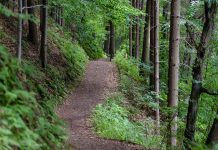 The purpose of trails