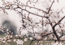 Deep Meaning and Life Changing