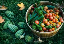 Do not let bitterness