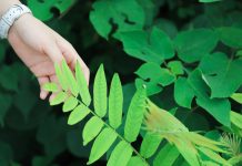 Make you feel better