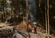 Fulfill your every wish