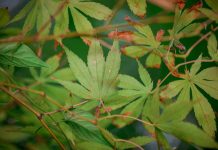 God is Process of Changing You