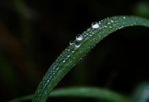 Two Life Lessons will Change Your Life