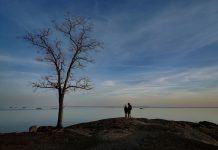 Thinking is hard work