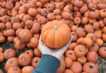 You can play only your own hand