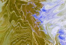 Your uniqueness is your strength