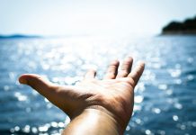 Financial Freedom for Object post