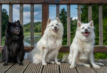 Be faithful to yourself