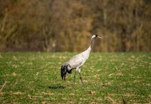 Patience is Important