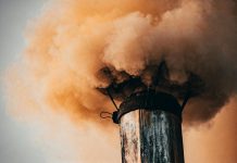 7 unique habits of low quality men