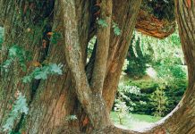 Inspiration for a better life