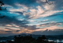 Success need framework and a dream