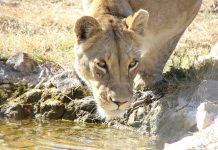 Be careful who you trust