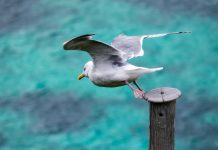 Habits of successful men who always move forward in life