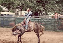 The roots of poor performance