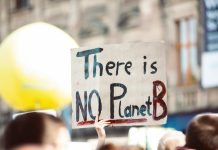 Wise Jewish Proverbs