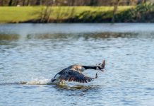 Person Famous Proverbs