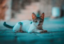 If you want to be more likable