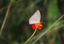 Transformative quotes