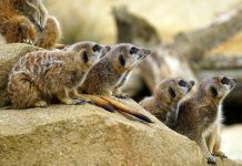 People with a high level of self respect never tolerate these behaviors from others