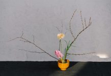 Wisdom is the oneness of mind