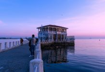 Opportunities multiply