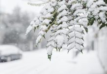 We become wiser by adversity