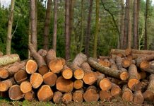 Strong against difficulty