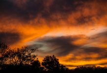 Brilliant Leo Tolstoy Quotes