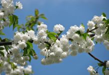 Life changing statements