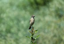 Quotes from Past Centuries Part One