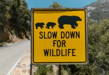 Limitation is to be disengagement