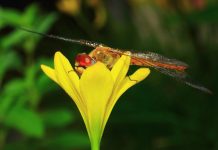 God opens and closes doors