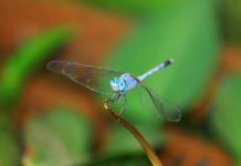 You have got what it takes