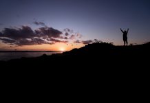 Teamwork and intelligence win championships