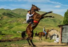 Focus on high value activates