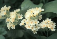 Life is hard but also very beautiful