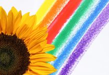 If You Really Want to Live a Joyful Life Start Saying No to These Share