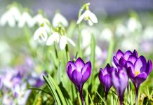 God Focuses on the Things You are Doing