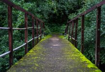 Quotes from Pythagoras