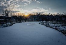 You should never tell anyone