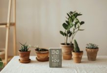 Big goals produce big motivation