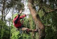 Turkish Proverbs and Saying